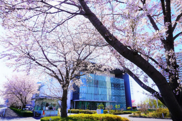 相模原事業所建屋。毎年3月下旬～4月上旬には、会社前の桜並木が美しく咲き誇ります。橋本駅から徒歩約15分。
